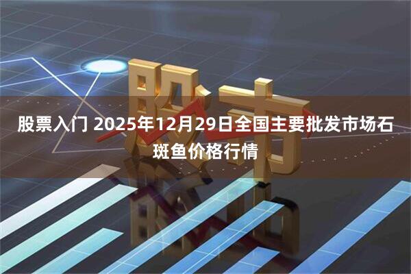 股票入门 2025年12月29日全国主要批发市场石斑鱼价格行情