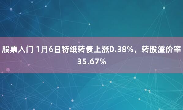 股票入门 1月6日特纸转债上涨0.38%，转股溢价率35.67%
